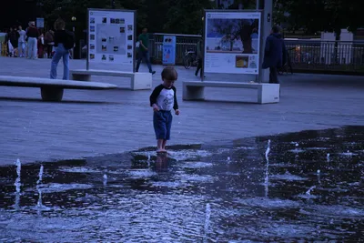 DSC_1634 (Large).JPG